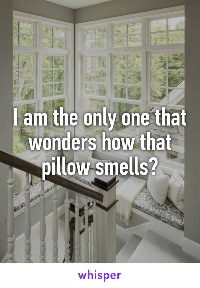 I am the only one that wonders how that pillow smells?