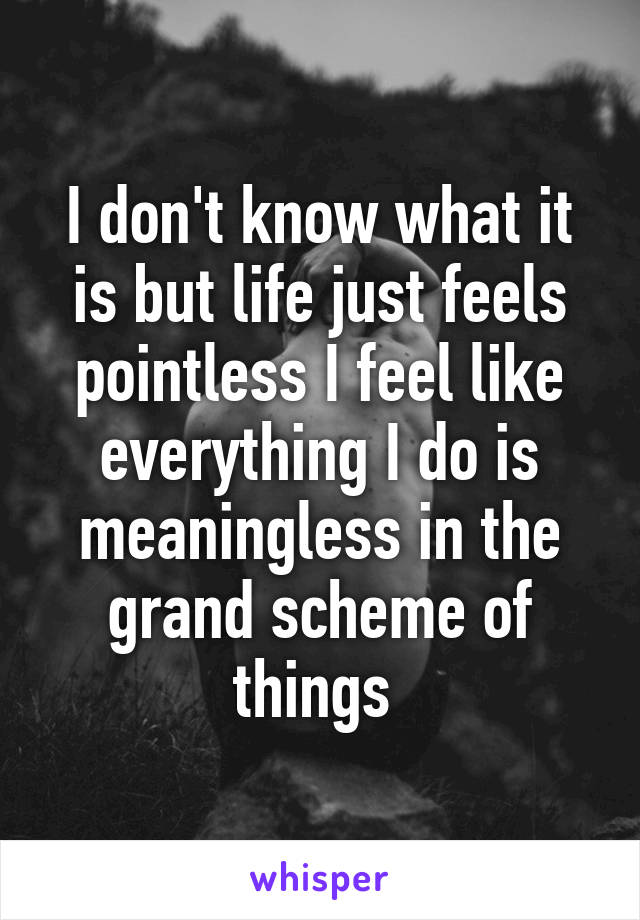 I don't know what it is but life just feels pointless I feel like everything I do is meaningless in the grand scheme of things 