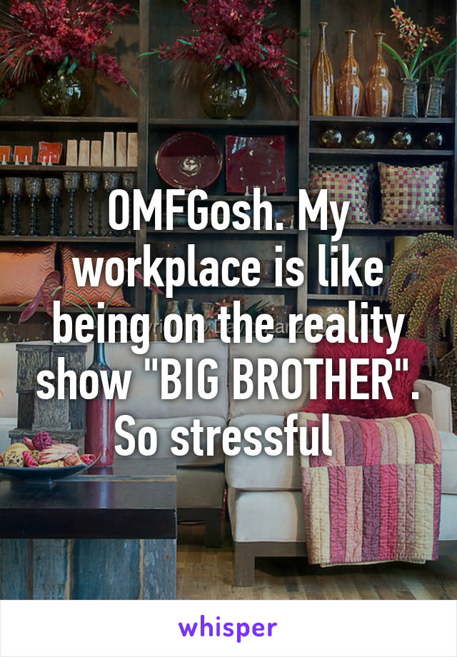 OMFGosh. My workplace is like being on the reality show "BIG BROTHER". So stressful 