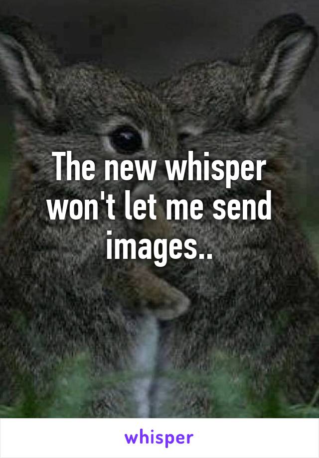 The new whisper won't let me send images..
