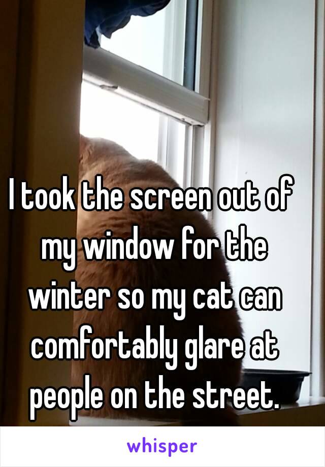 I took the screen out of my window for the winter so my cat can comfortably glare at people on the street.