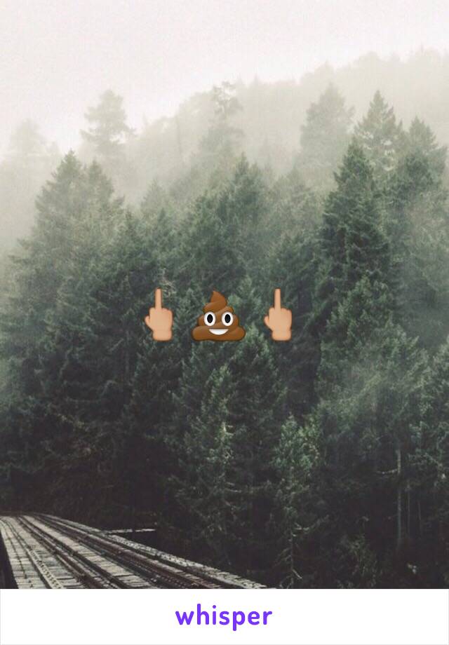 🖕🏼💩🖕🏼  