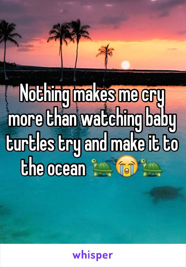 Nothing makes me cry more than watching baby turtles try and make it to the ocean 🐢😭🐢