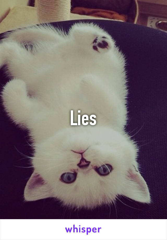 Lies