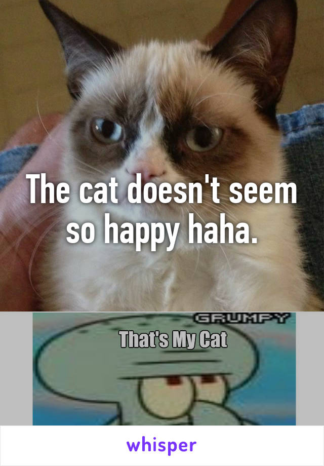 The cat doesn't seem so happy haha.
