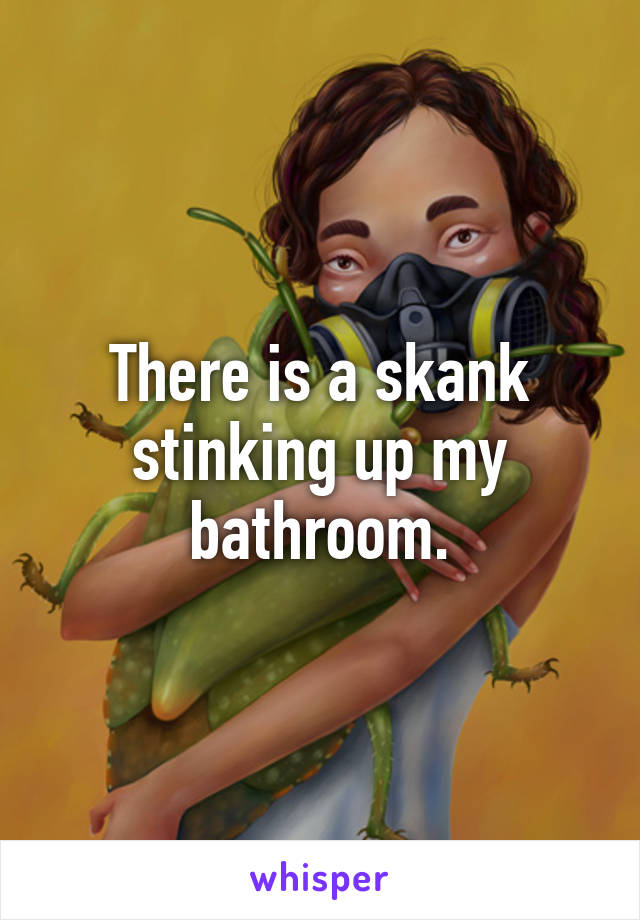 There is a skank stinking up my bathroom.