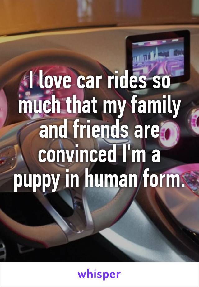 I love car rides so much that my family and friends are convinced I'm a puppy in human form. 