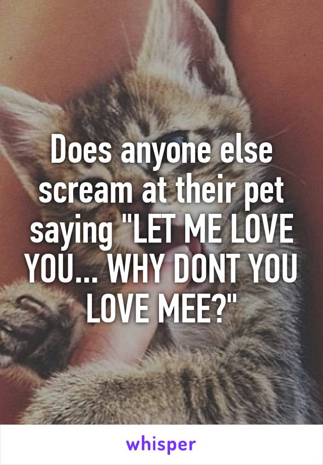 Does anyone else scream at their pet saying "LET ME LOVE YOU... WHY DONT YOU LOVE MEE?"