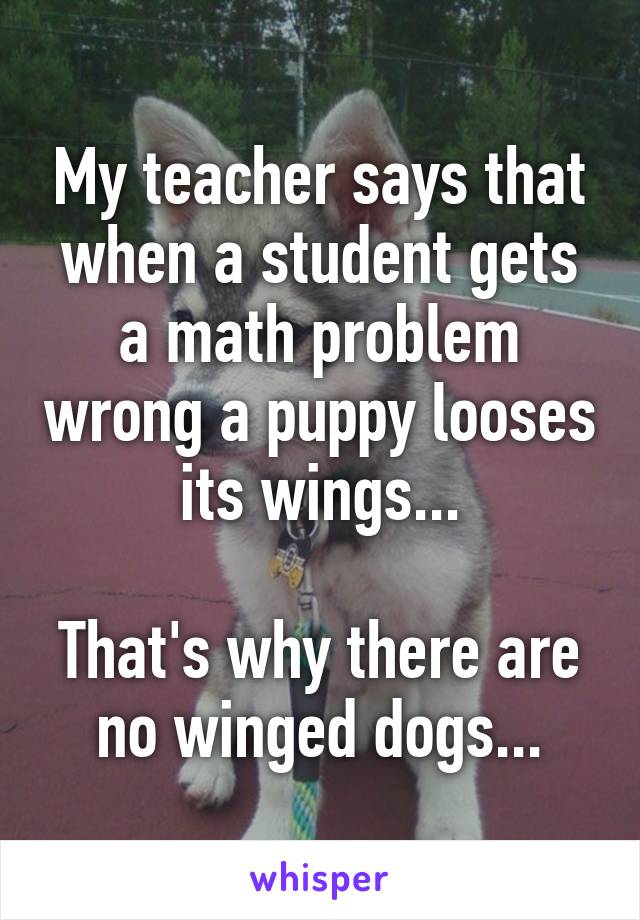 My teacher says that when a student gets a math problem wrong a puppy looses its wings...

That's why there are no winged dogs...