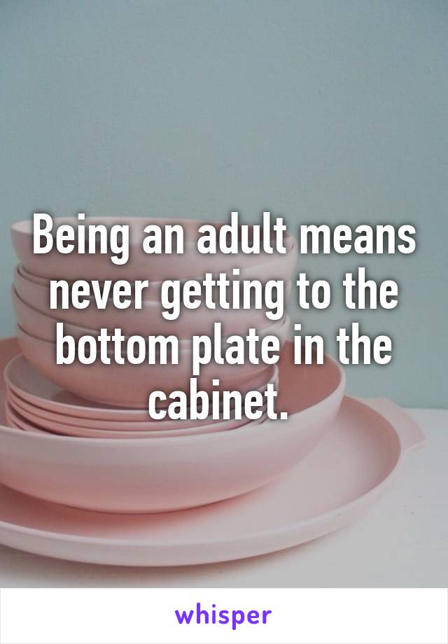 Being an adult means never getting to the bottom plate in the cabinet. 