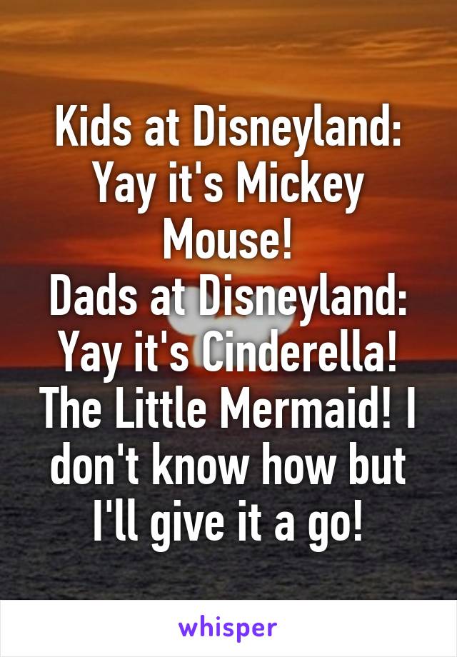 Kids at Disneyland: Yay it's Mickey Mouse!
Dads at Disneyland: Yay it's Cinderella! The Little Mermaid! I don't know how but I'll give it a go!