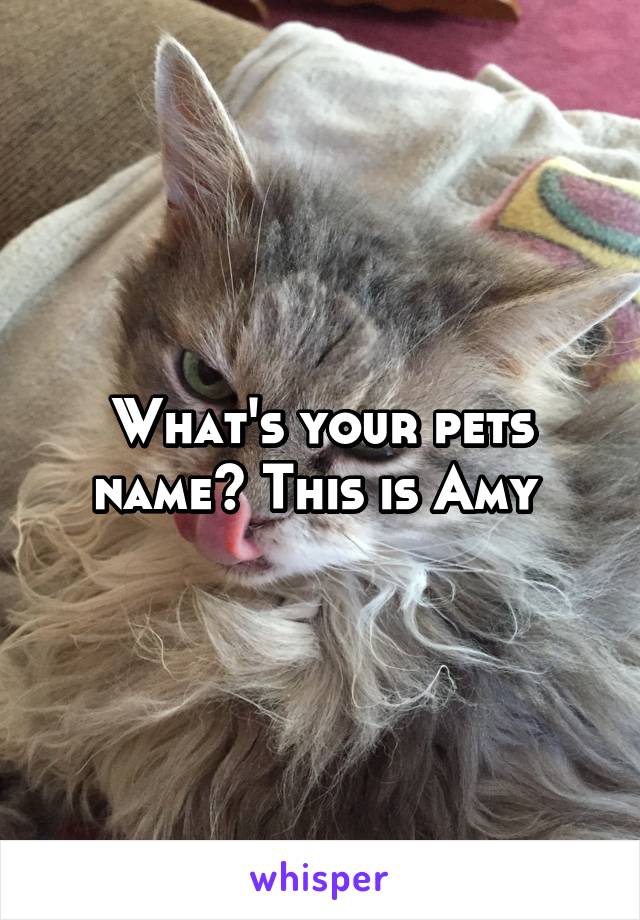 What's your pets name? This is Amy 