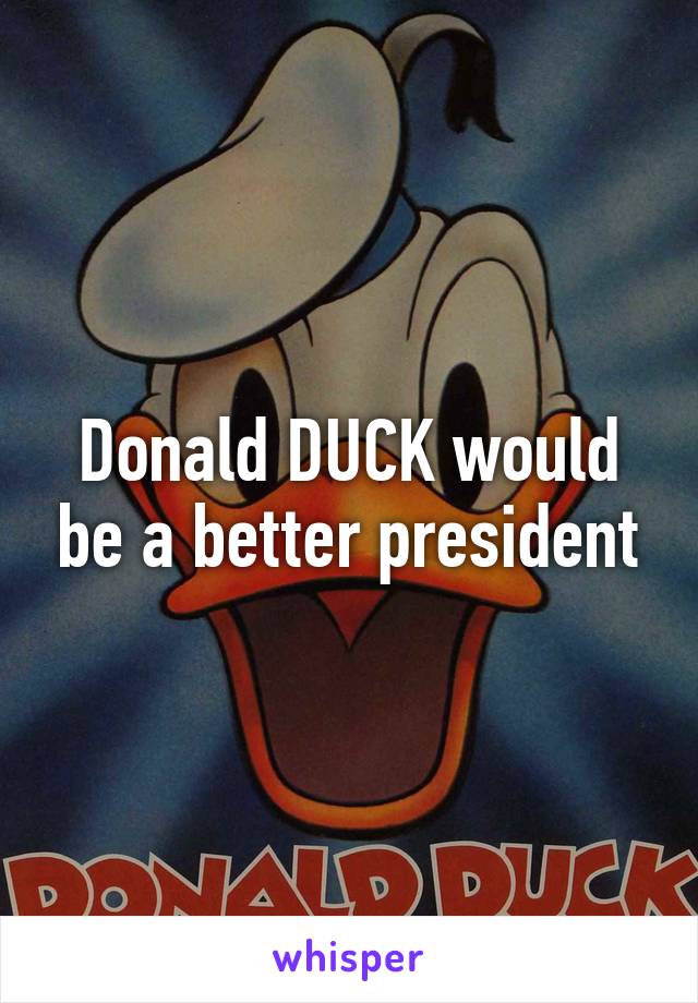 Donald DUCK would be a better president