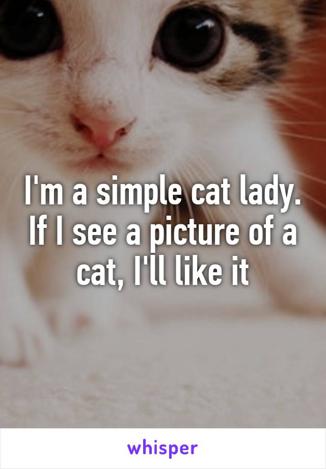 I'm a simple cat lady. If I see a picture of a cat, I'll like it