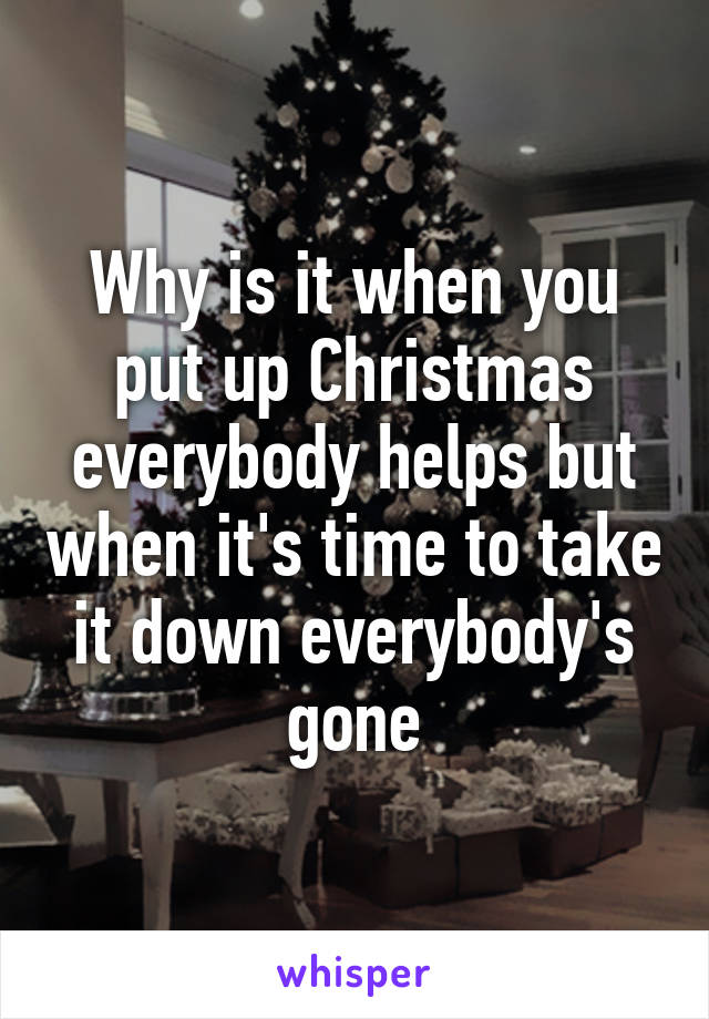 Why is it when you put up Christmas everybody helps but when it's time to take it down everybody's gone