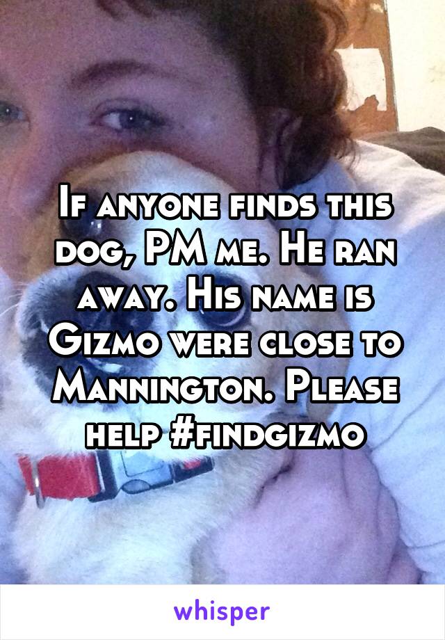 If anyone finds this dog, PM me. He ran away. His name is Gizmo were close to Mannington. Please help #findgizmo