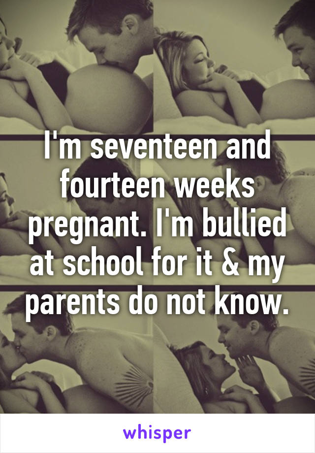 I'm seventeen and fourteen weeks pregnant. I'm bullied at school for it & my parents do not know.