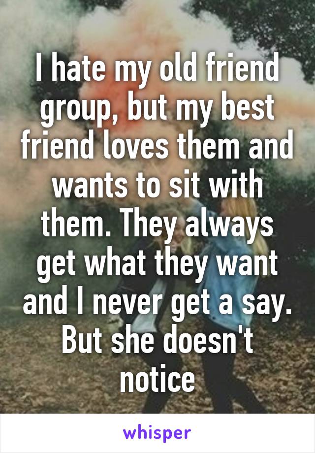 I hate my old friend group, but my best friend loves them and wants to sit with them. They always get what they want and I never get a say. But she doesn't notice