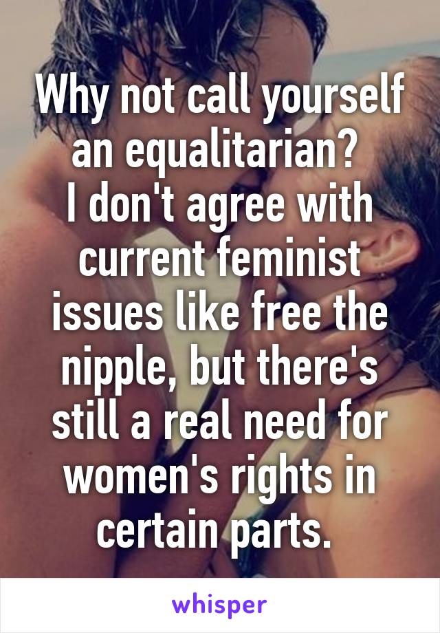 Why not call yourself an equalitarian? 
I don't agree with current feminist issues like free the nipple, but there's still a real need for women's rights in certain parts. 