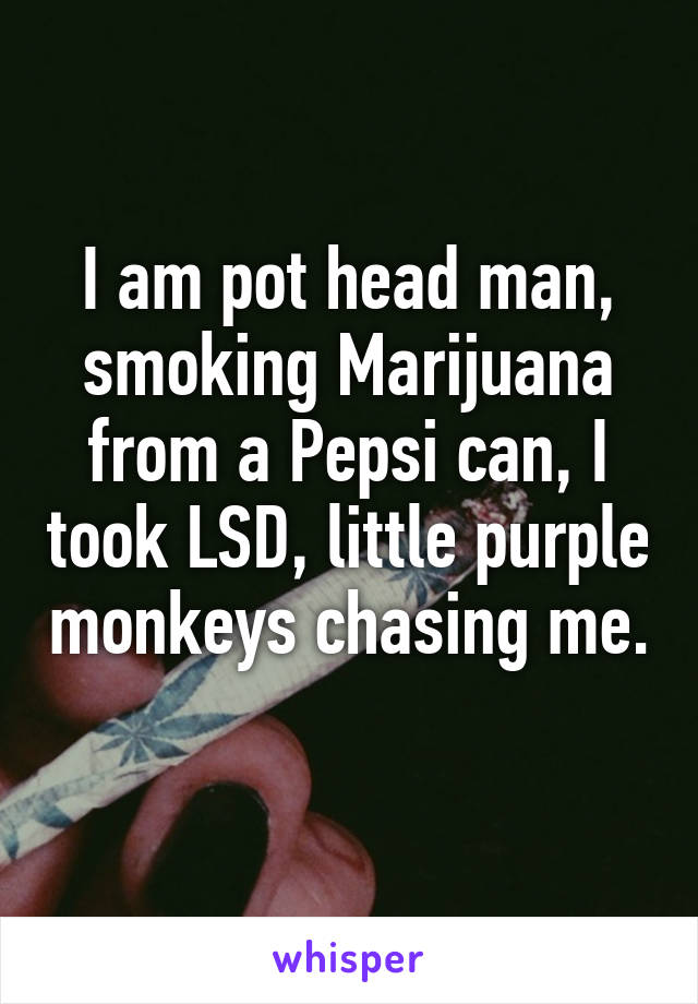 I am pot head man, smoking Marijuana from a Pepsi can, I took LSD, little purple monkeys chasing me. 