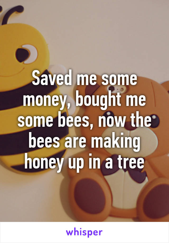 Saved me some money, bought me some bees, now the bees are making honey up in a tree