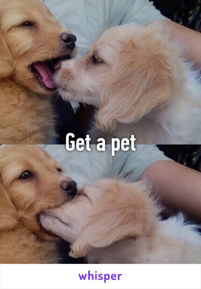 Get a pet