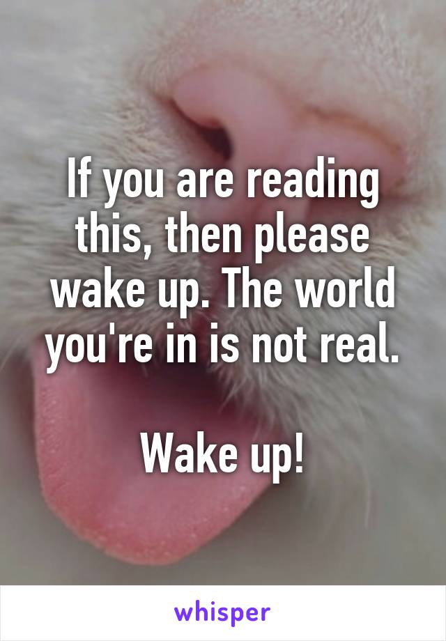 If you are reading this, then please wake up. The world you're in is not real.

Wake up!