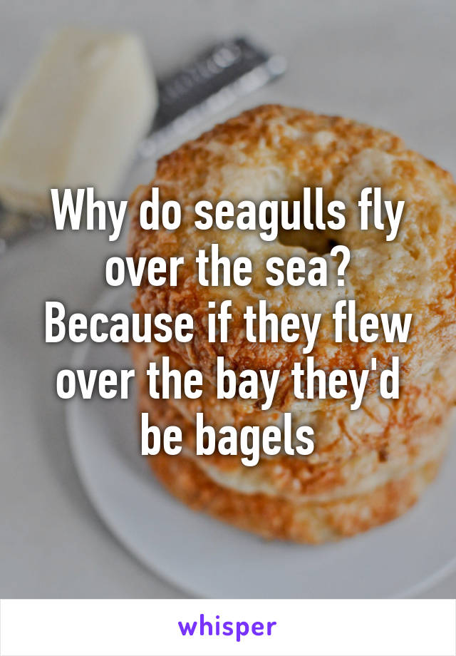 Why do seagulls fly over the sea? Because if they flew over the bay they'd be bagels