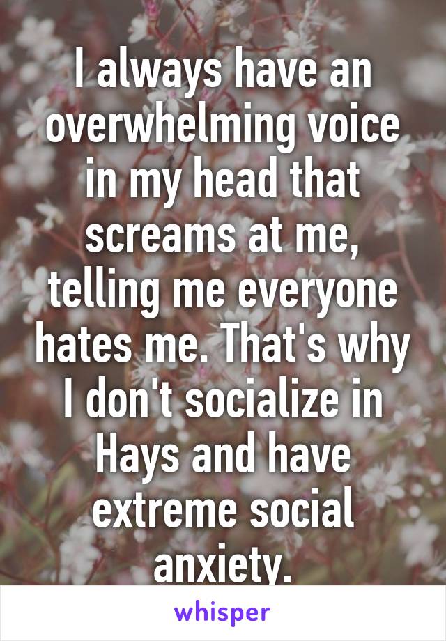 I always have an overwhelming voice in my head that screams at me, telling me everyone hates me. That's why I don't socialize in Hays and have extreme social anxiety.