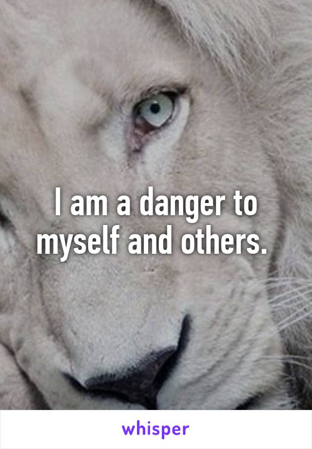 I am a danger to myself and others. 