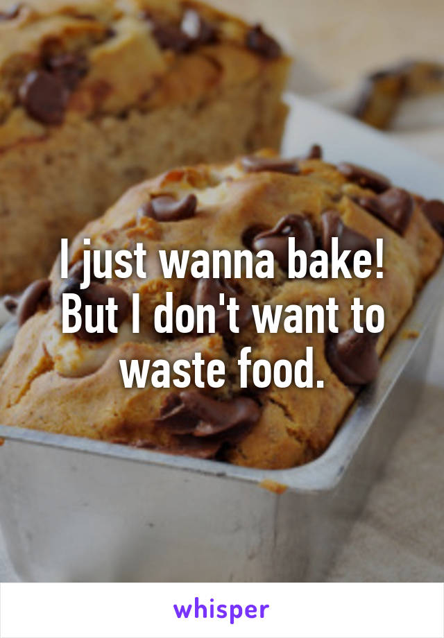 I just wanna bake! But I don't want to waste food.