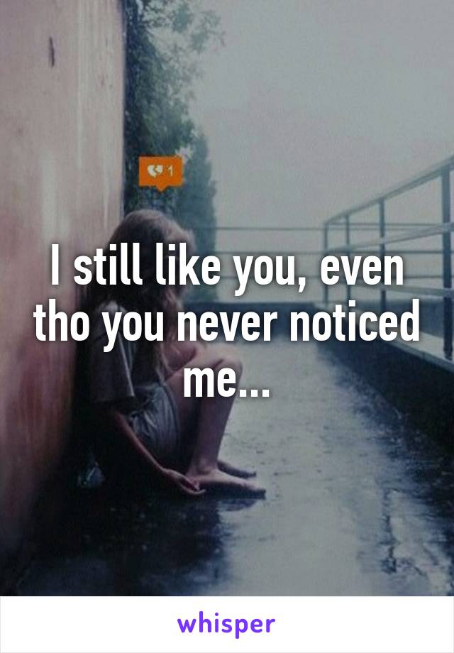 I still like you, even tho you never noticed me...