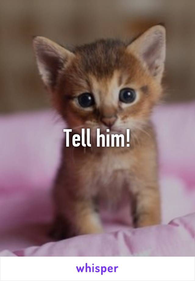 Tell him!