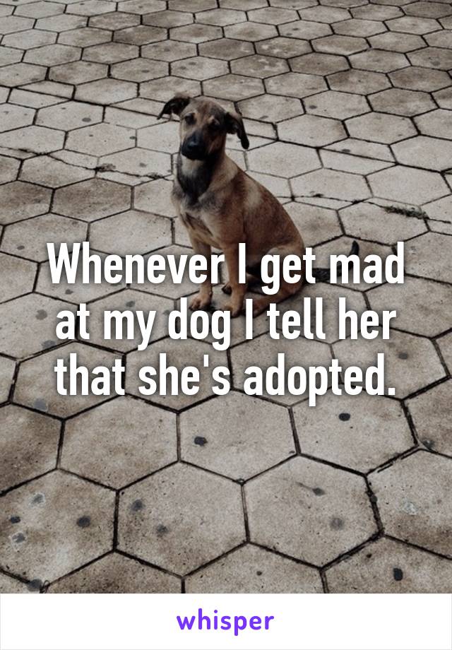 Whenever I get mad at my dog I tell her that she's adopted.