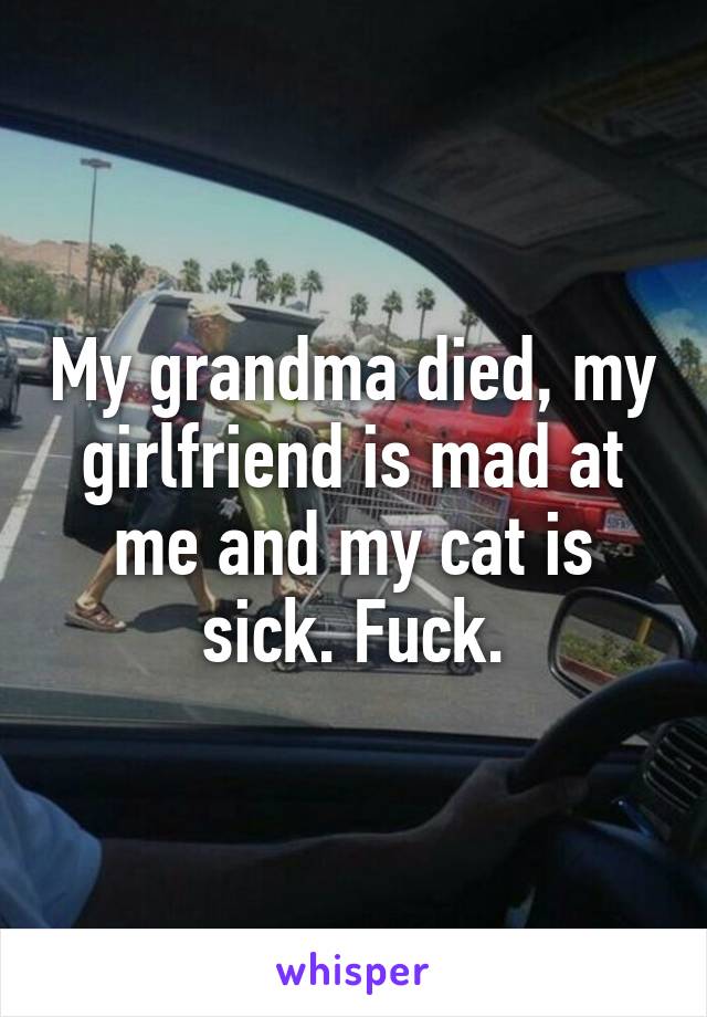 My grandma died, my girlfriend is mad at me and my cat is sick. Fuck.