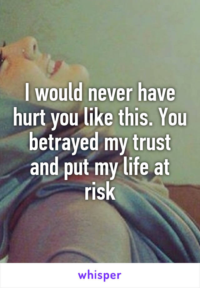 I would never have hurt you like this. You betrayed my trust and put my life at risk