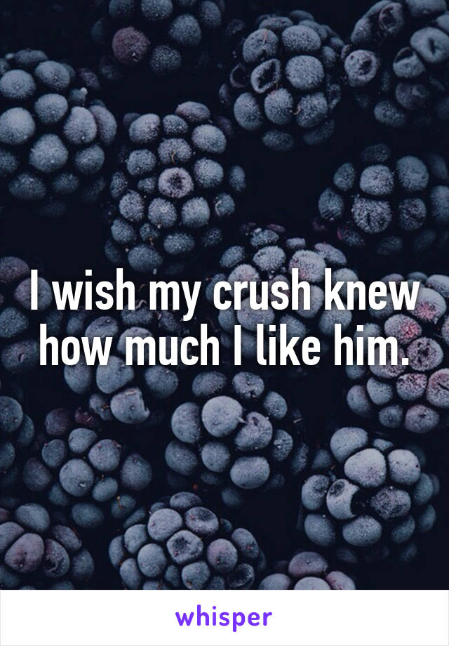 I wish my crush knew how much I like him.