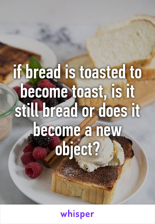 if bread is toasted to become toast, is it still bread or does it become a new object?