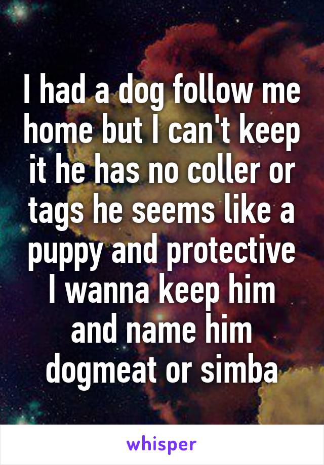 I had a dog follow me home but I can't keep it he has no coller or tags he seems like a puppy and protective I wanna keep him and name him dogmeat or simba