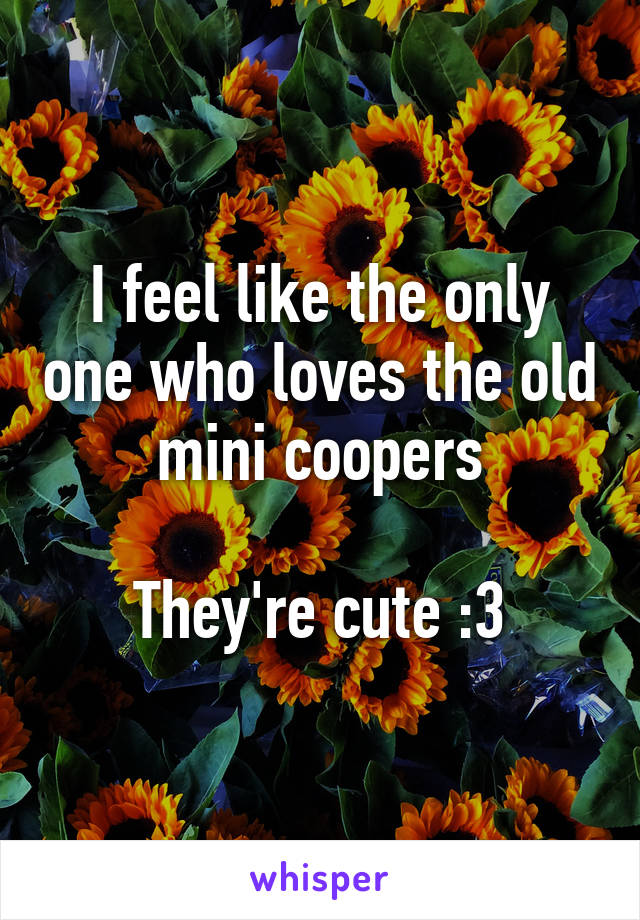 I feel like the only one who loves the old mini coopers

They're cute :3