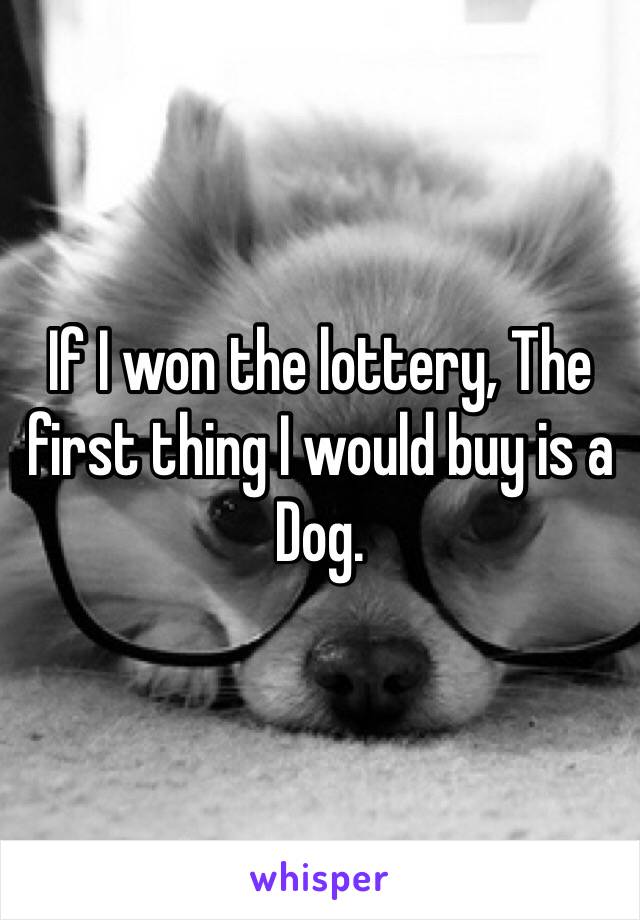 If I won the lottery, The first thing I would buy is a Dog.