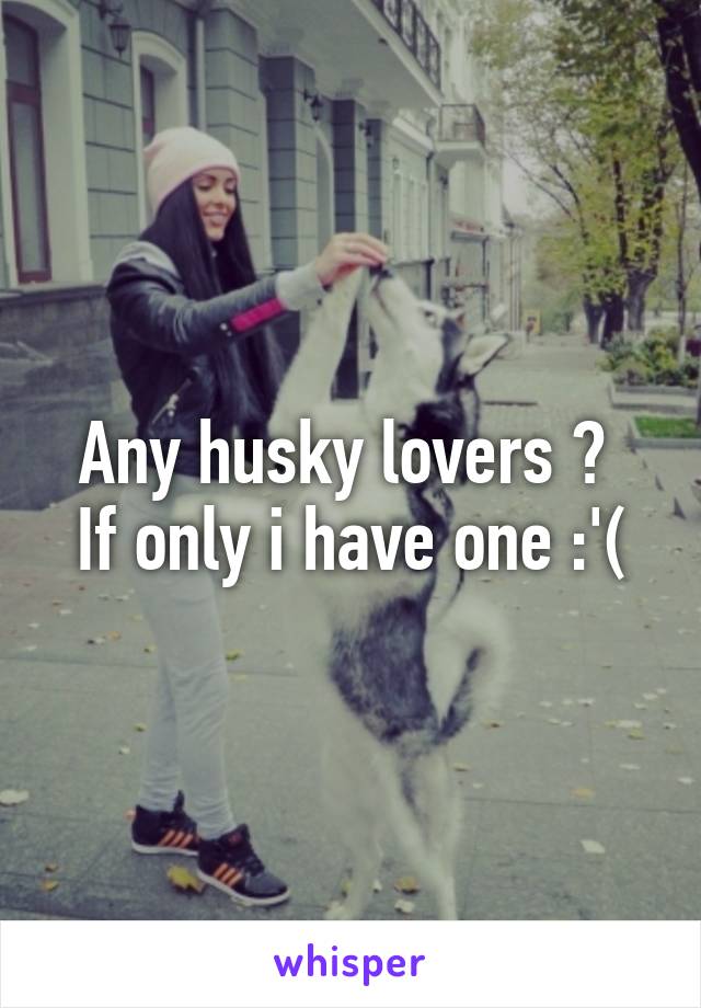 Any husky lovers ? 
If only i have one :'(