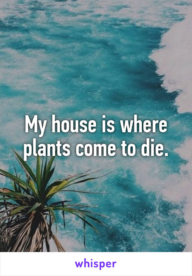 My house is where plants come to die.