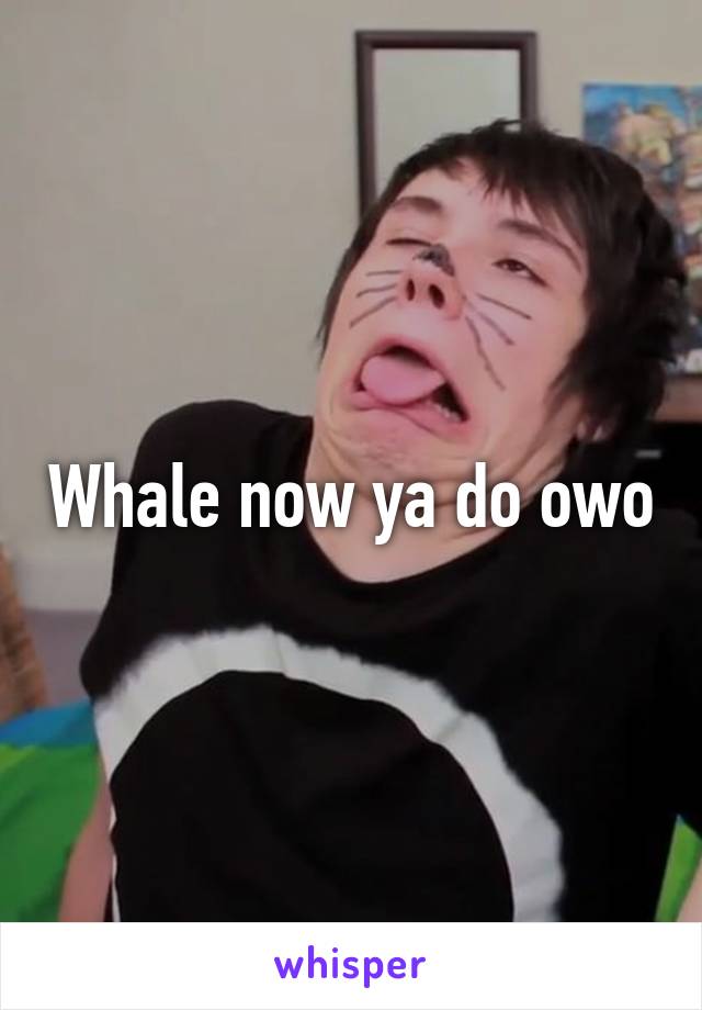 Whale now ya do owo