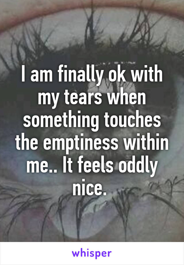 I am finally ok with my tears when something touches the emptiness within me.. It feels oddly nice. 