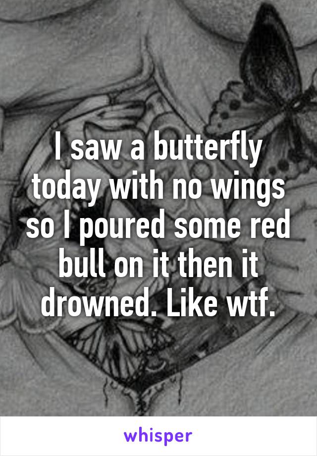 I saw a butterfly today with no wings so I poured some red bull on it then it drowned. Like wtf.