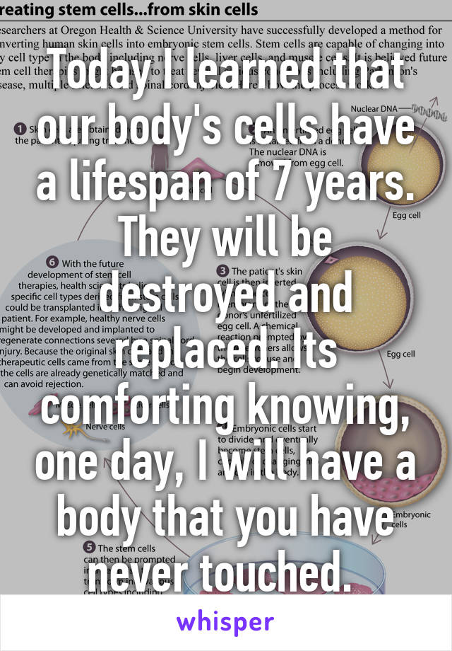 Today I learned that our body's cells have a lifespan of 7 years. They will be destroyed and replaced. Its comforting knowing, one day, I will have a body that you have never touched. 