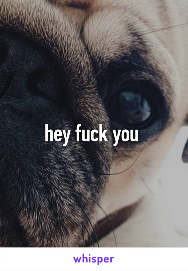 hey fuck you 