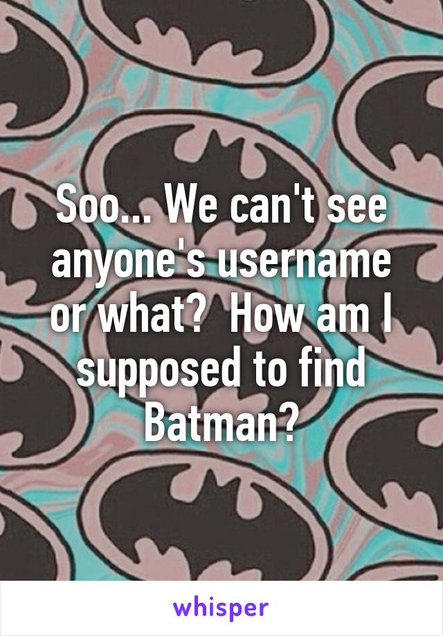 Soo... We can't see anyone's username or what?  How am I supposed to find Batman?