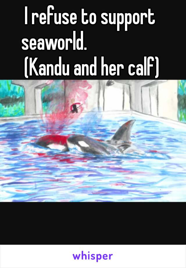 I refuse to support seaworld.                     (Kandu and her calf)